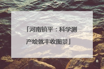 河南镇平：科学测产绘就丰收图景