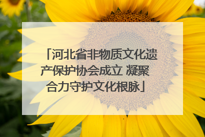 河北省非物质文化遗产保护协会成立 凝聚合力守护文化根脉