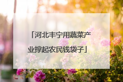 河北丰宁用蔬菜产业撑起农民钱袋子