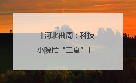 河北曲周：科技小院忙“三夏”