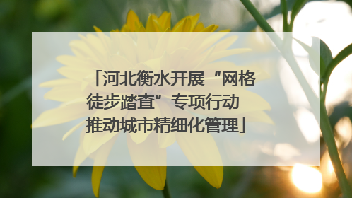 河北衡水开展“网格徒步踏查”专项行动 推动城市精细化管理