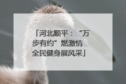 河北顺平：“万步有约”燃激情 全民健身展风采