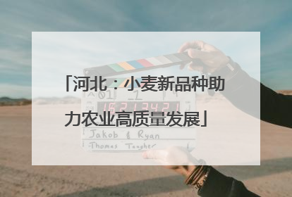 河北：小麦新品种助力农业高质量发展