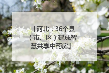河北：36个县（市、区）建成智慧共享中药房