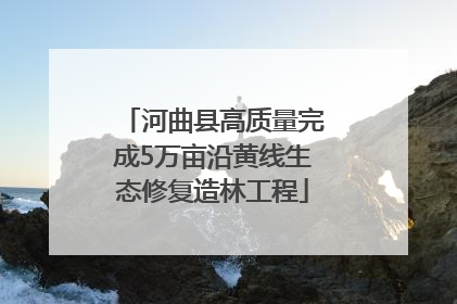 河曲县高质量完成5万亩沿黄线生态修复造林工程