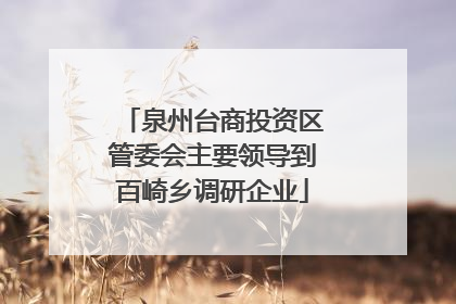 泉州台商投资区管委会主要领导到百崎乡调研企业