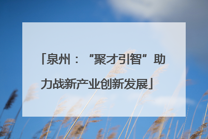 泉州：“聚才引智”助力战新产业创新发展