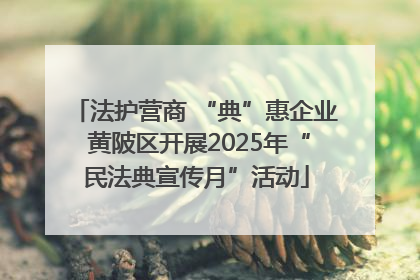 法护营商 “典”惠企业 黄陂区开展2025年“民法典宣传月”活动
