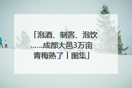 泡酒、制酱、泡饮……成都大邑3万亩青梅熟了丨图集