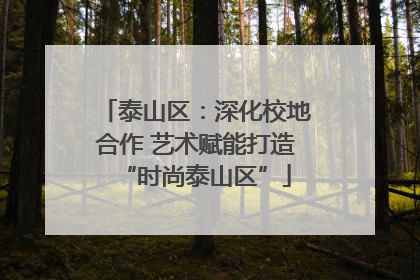 泰山区：深化校地合作 艺术赋能打造“时尚泰山区”