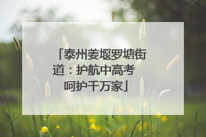泰州姜堰罗塘街道：护航中高考 呵护千万家