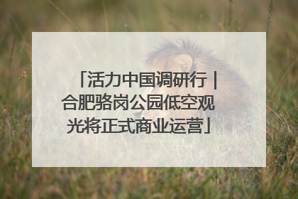 活力中国调研行｜合肥骆岗公园低空观光将正式商业运营