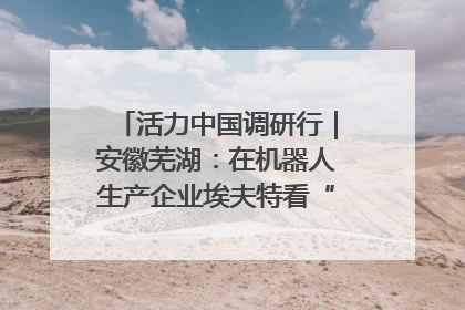 活力中国调研行｜安徽芜湖：在机器人生产企业埃夫特看“中国智造”