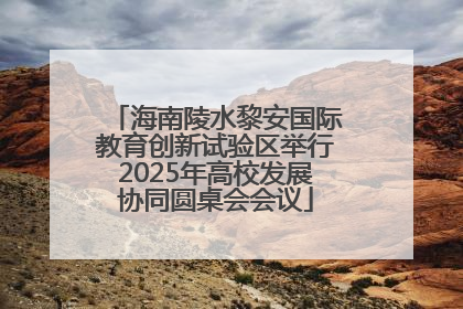 海南陵水黎安国际教育创新试验区举行2025年高校发展协同圆桌会会议