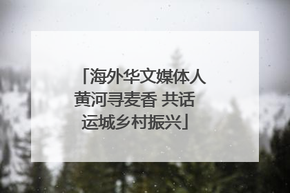 海外华文媒体人黄河寻麦香 共话运城乡村振兴