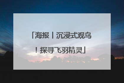 海报丨沉浸式观鸟！探寻飞羽精灵