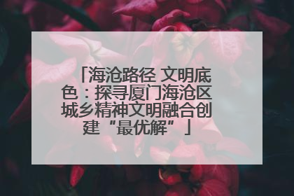 海沧路径 文明底色：探寻厦门海沧区城乡精神文明融合创建“最优解”