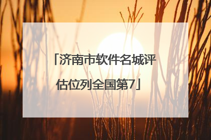 济南市软件名城评估位列全国第7