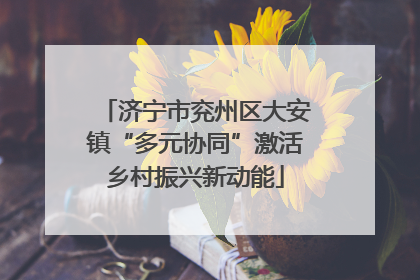 济宁市兖州区大安镇“多元协同”激活乡村振兴新动能