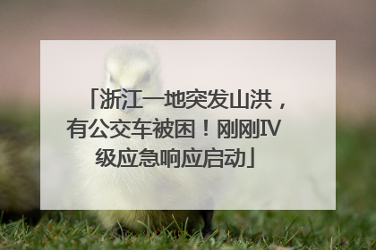 浙江一地突发山洪，有公交车被困！刚刚Ⅳ级应急响应启动
