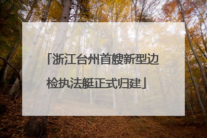 浙江台州首艘新型边检执法艇正式归建