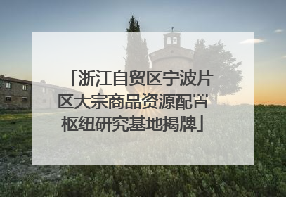 浙江自贸区宁波片区大宗商品资源配置枢纽研究基地揭牌