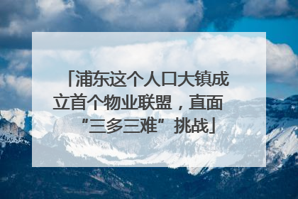 浦东这个人口大镇成立首个物业联盟，直面“三多三难”挑战