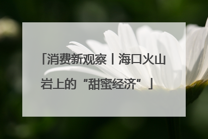 消费新观察丨海口火山岩上的“甜蜜经济”