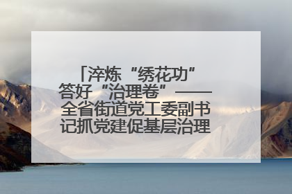 淬炼“绣花功” 答好“治理卷”——全省街道党工委副书记抓党建促基层治理培训示范班侧记