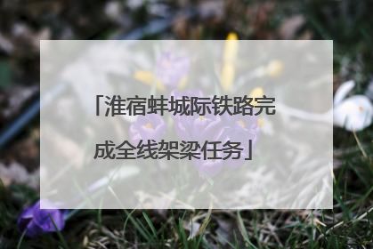 淮宿蚌城际铁路完成全线架梁任务