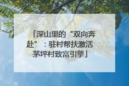 深山里的“双向奔赴”：驻村帮扶激活茅坪村致富引擎