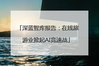 深蓝智库报告：在线旅游业掀起AI竞速战