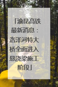 渝昆高铁最新消息：洛泽河特大桥全面进入悬浇梁施工阶段