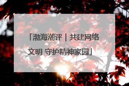 渤海潮评｜共建网络文明 守护精神家园