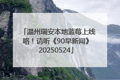 温州瑞安本地蓝莓上线咯！请听《90早新闻》20250524