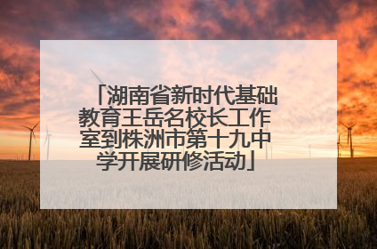 湖南省新时代基础教育王岳名校长工作室到株洲市第十九中学开展研修活动