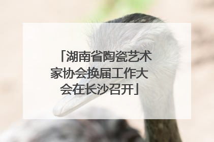 湖南省陶瓷艺术家协会换届工作大会在长沙召开