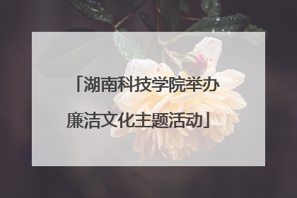 湖南科技学院举办廉洁文化主题活动