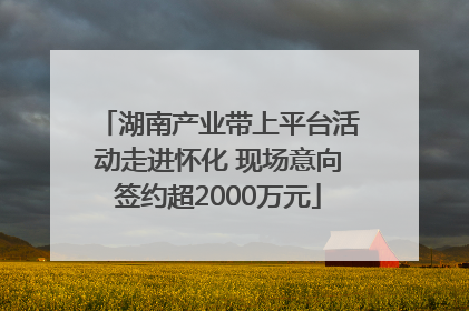 湖南产业带上平台活动走进怀化 现场意向签约超2000万元