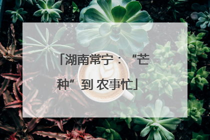 湖南常宁：“芒种”到 农事忙
