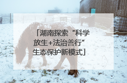 湖南探索“科学放生+法治善行”生态保护新模式