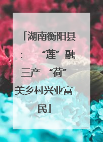 湖南衡阳县：一“莲”融三产 “荷”美乡村兴业富民
