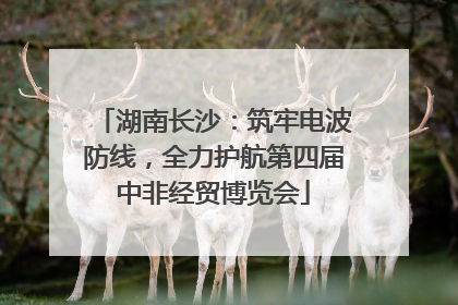 湖南长沙：筑牢电波防线，全力护航第四届中非经贸博览会