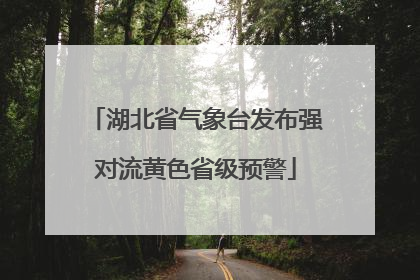 湖北省气象台发布强对流黄色省级预警