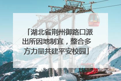 湖北省荆州御路口派出所因地制宜，整合多方力量共建平安校园