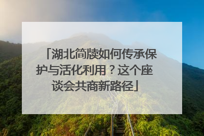 湖北简牍如何传承保护与活化利用？这个座谈会共商新路径