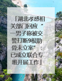 湖北孝感相关部门回应“一男子称被交警打断9根肋骨未立案”：已成立联合专班开展工作