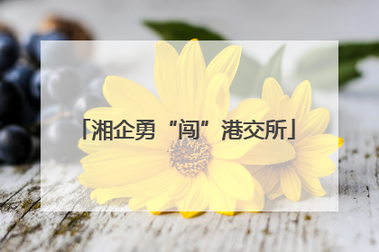 湘企勇“闯”港交所