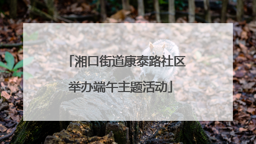 湘口街道康泰路社区举办端午主题活动