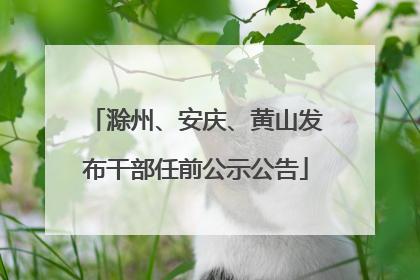 滁州、安庆、黄山发布干部任前公示公告
